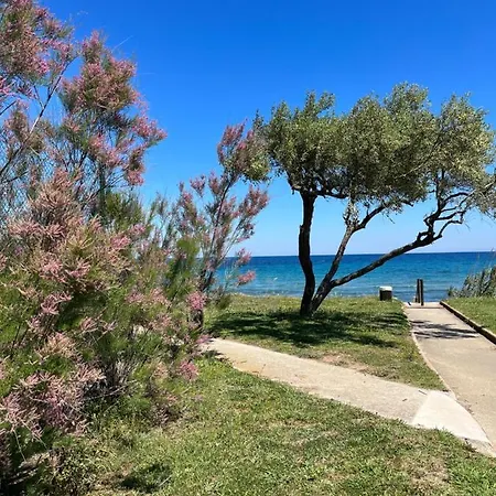 Ginevra Paesolu Di Prunete Cervione